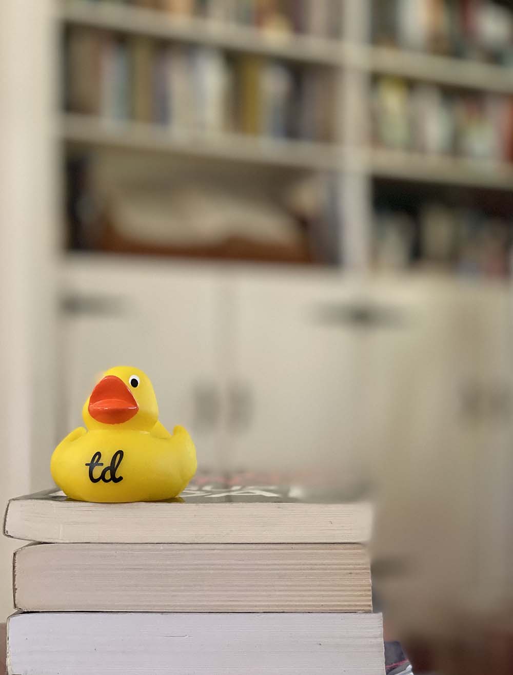 Test Double rubber duck programmer on books with bookcase in the background